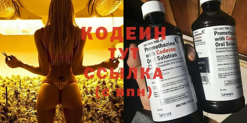 мега ТОР  Тольятти  Codein Purple Drank  хочу  